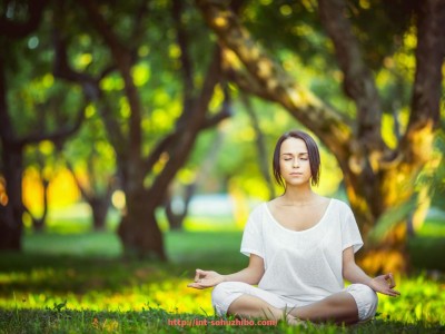 搜狐体育直播-火箭队精彩比赛视频资源及在线观看平台推荐