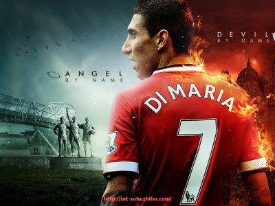 搜狐体育直播-2015意甲球队身价榜与阵容结构分析