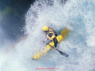 搜狐体育直播-本菲卡欧冠历年战绩一览：葡萄牙豪门的欧战征途