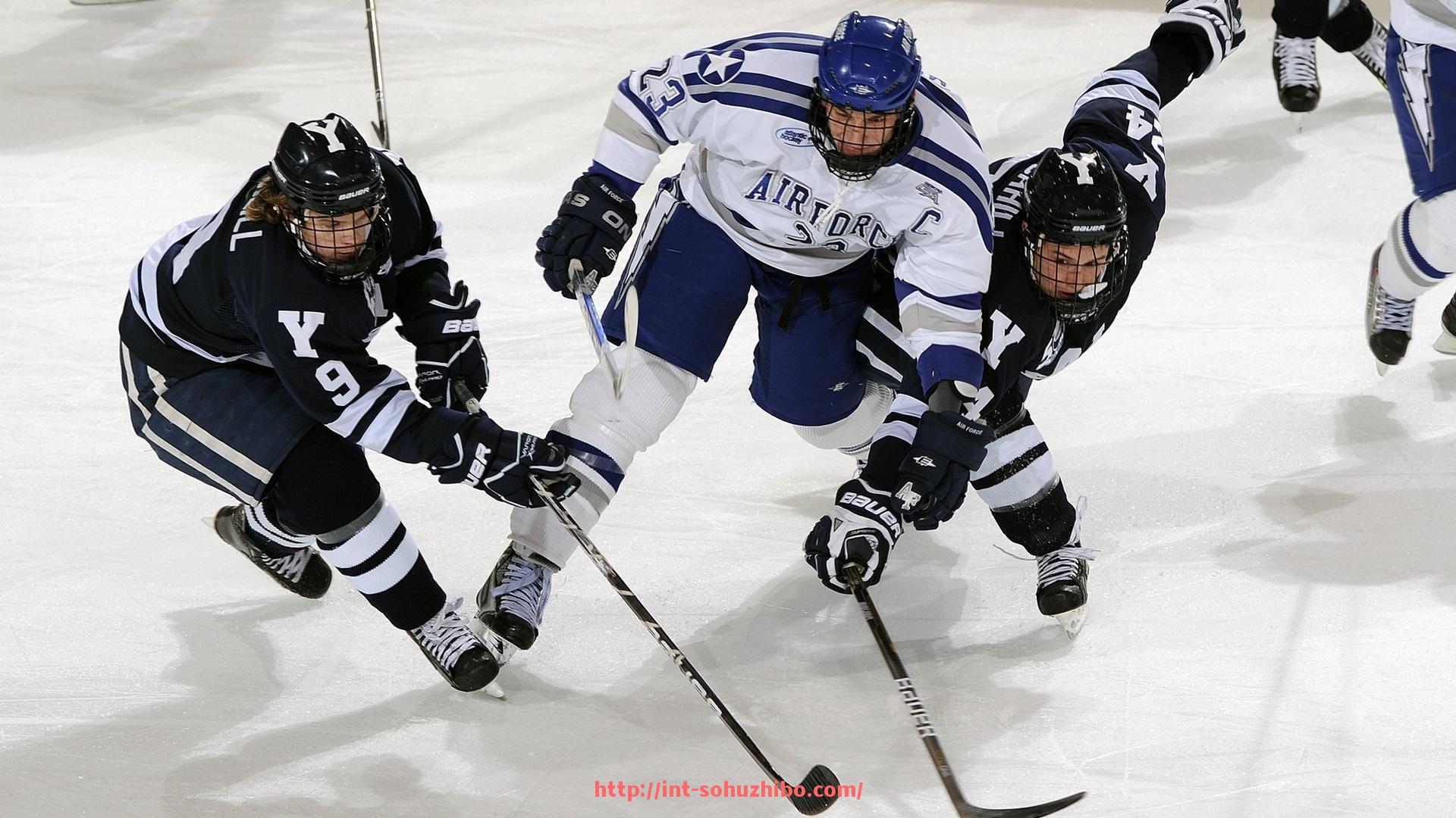 搜狐体育直播-减腹部健身器材推荐:哪些设备有助于快速减掉腹部脂肪?